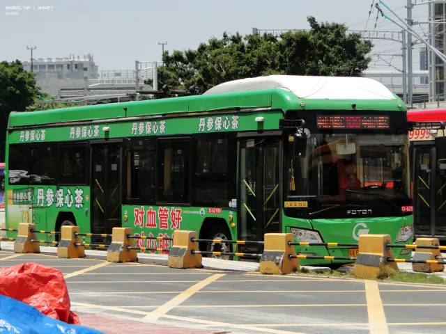 800BUS