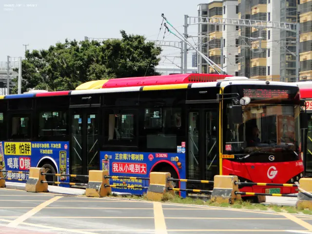 800BUS
