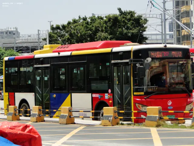 800BUS