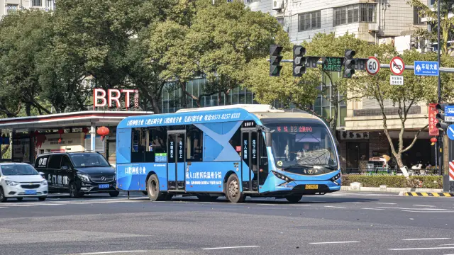 800BUS
