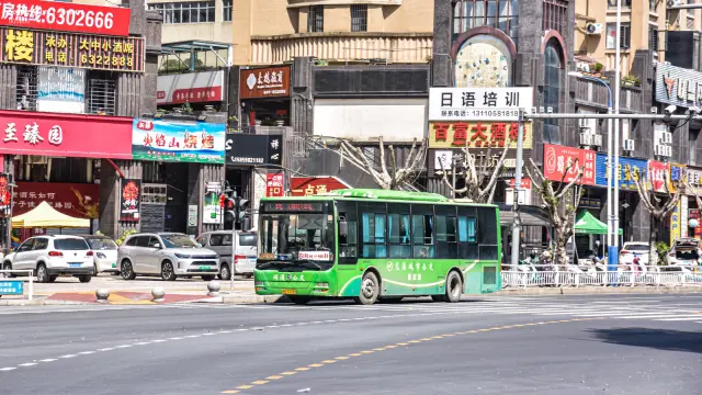 800BUS