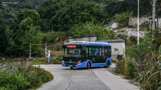 800BUS