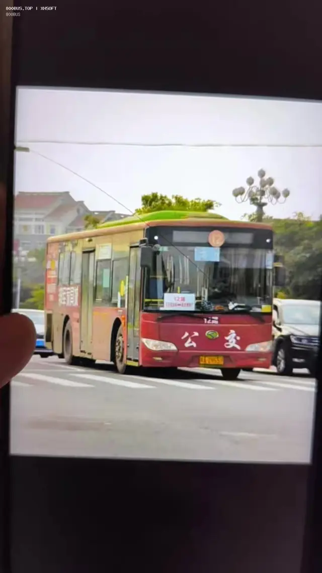 800BUS