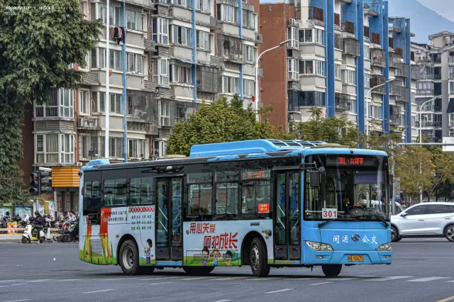 800BUS