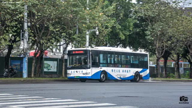 800BUS