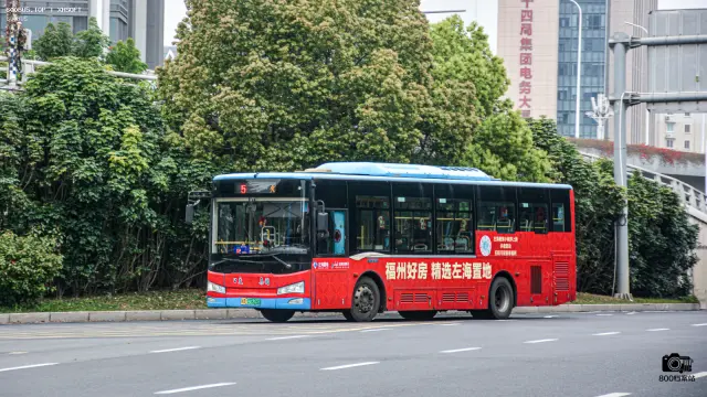 800BUS