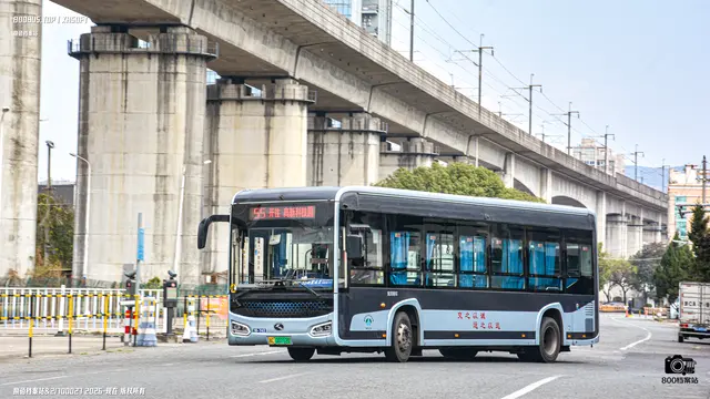 800BUS
