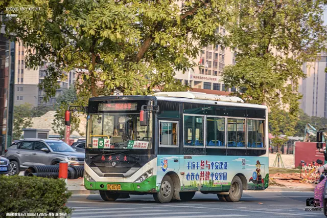 800BUS