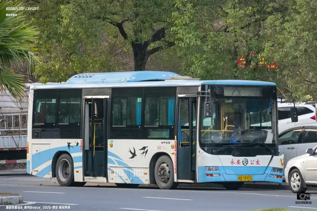 800BUS