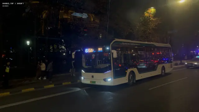800BUS