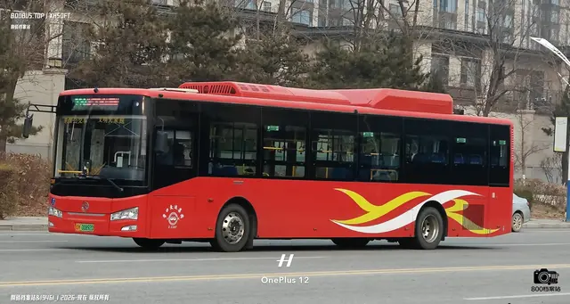 800BUS