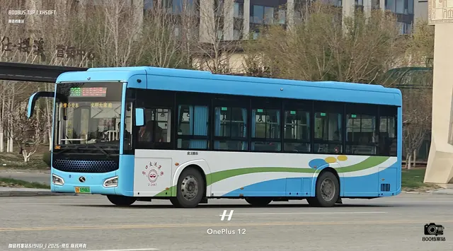 800BUS