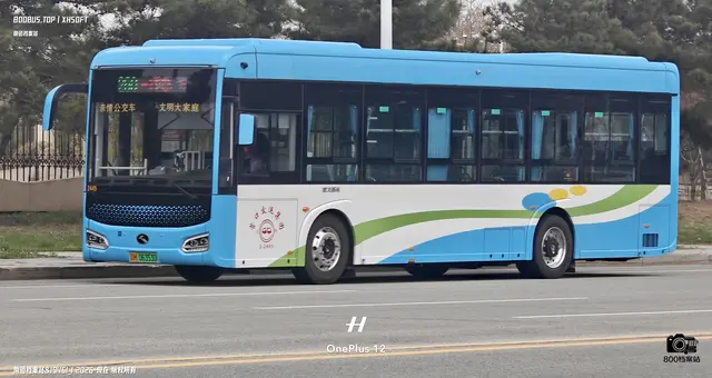 800BUS