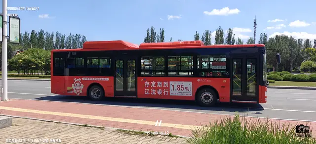 800BUS