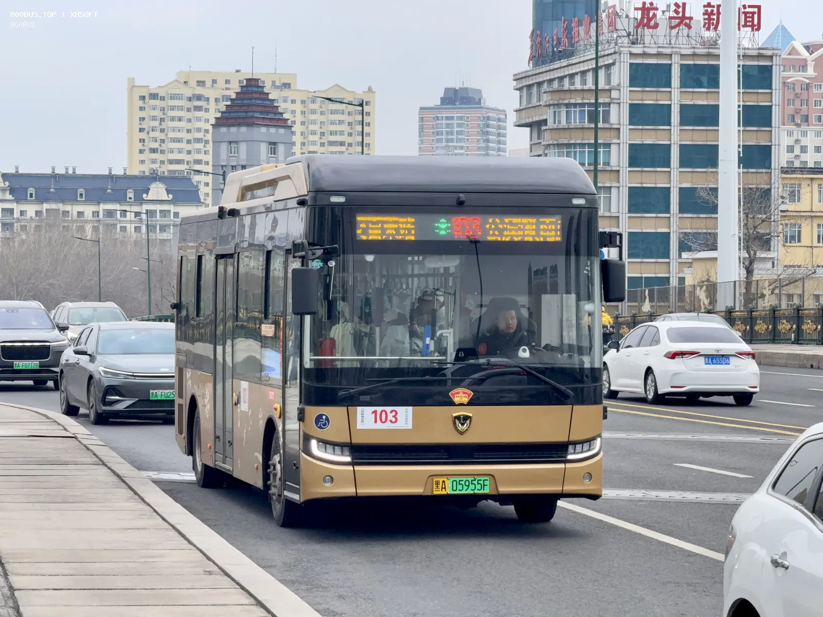 Bus Archive