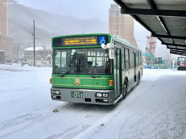 800BUS