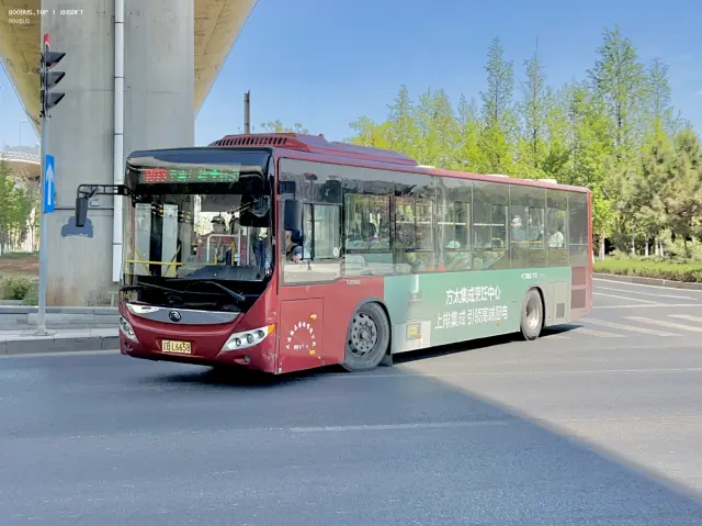 800BUS