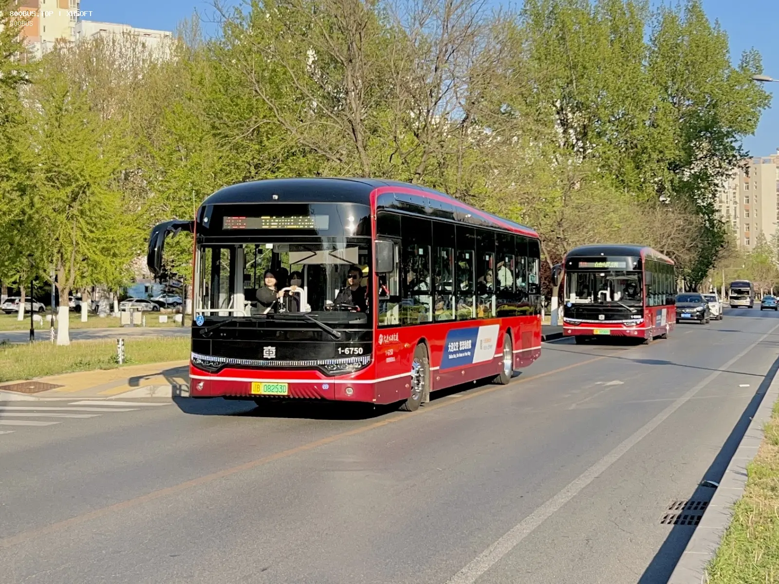 Bus Archive