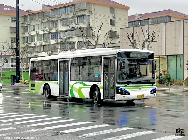 800BUS