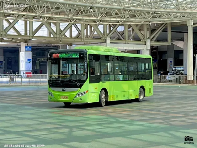 800BUS