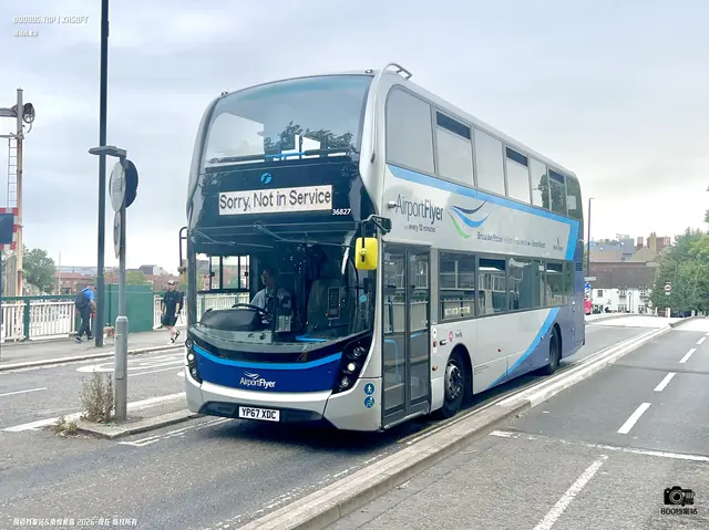 800BUS
