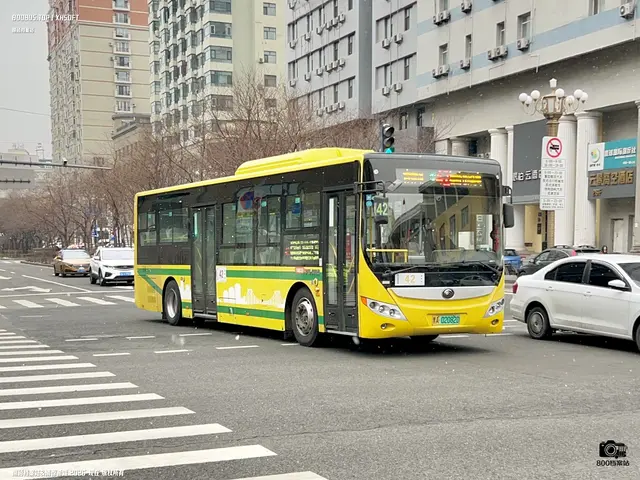 800BUS