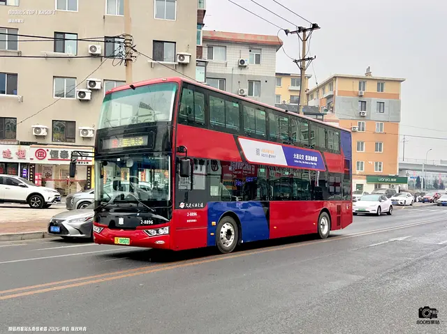 800BUS