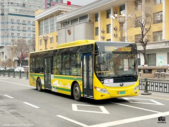 800BUS