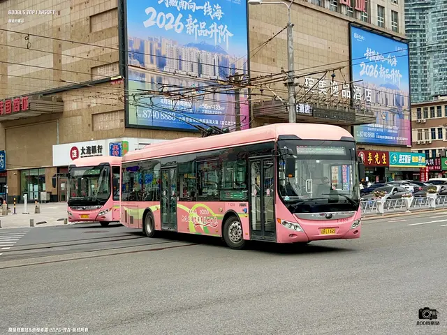 800BUS