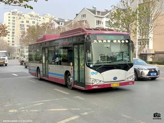 800BUS