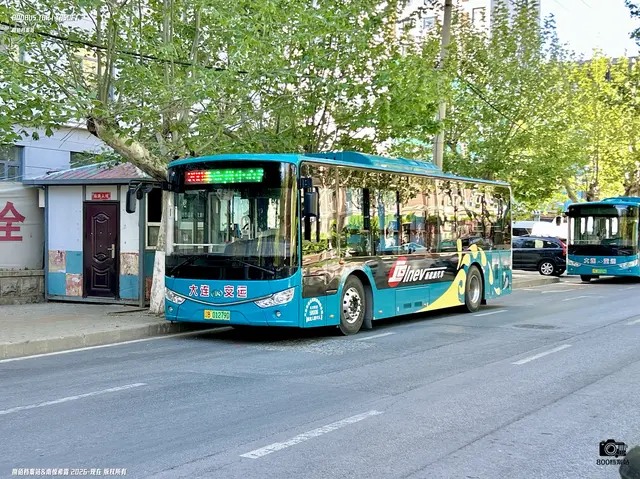 800BUS