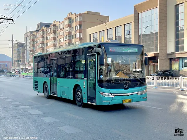 800BUS