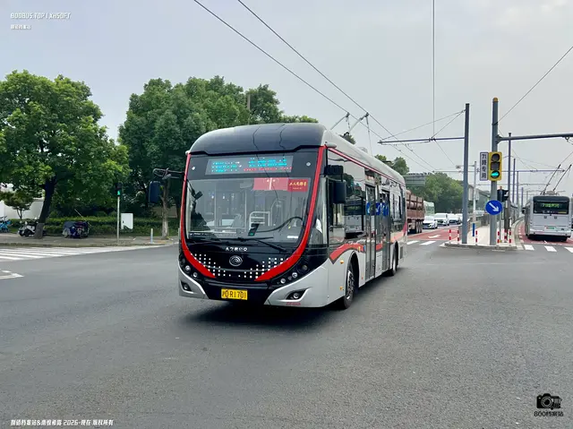 800BUS