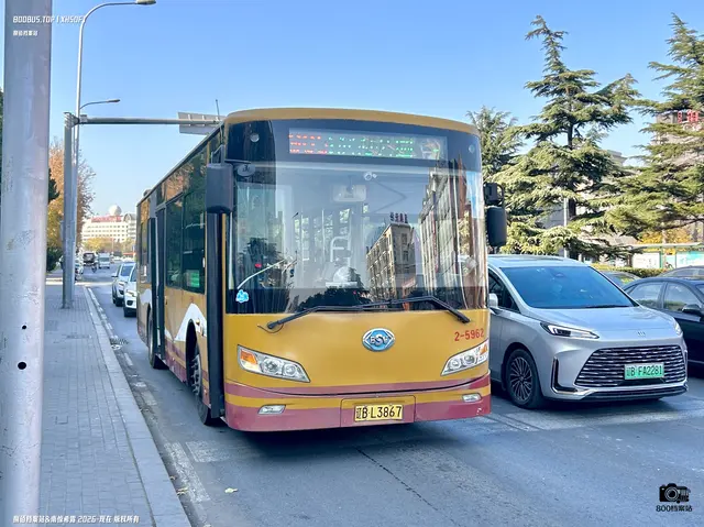 800BUS