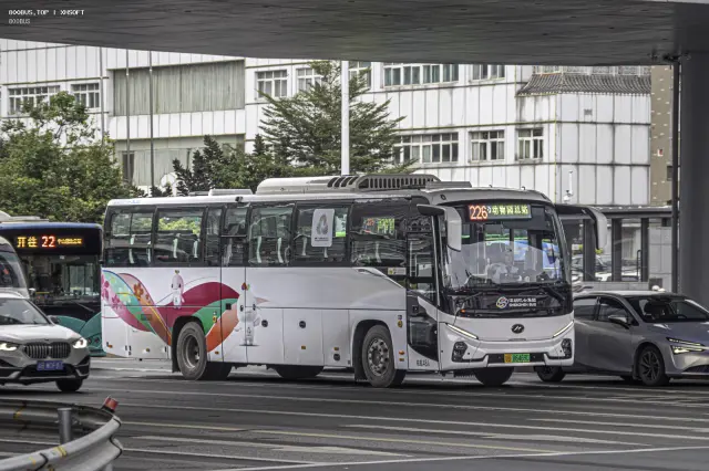 800BUS