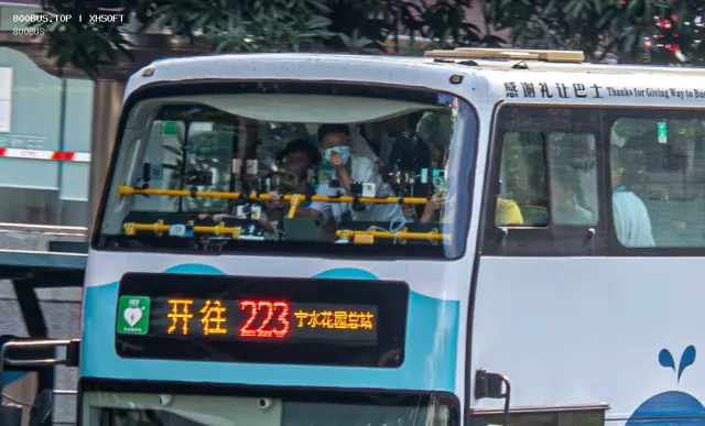 800BUS
