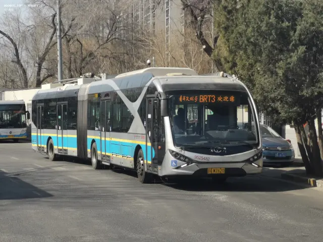 800BUS