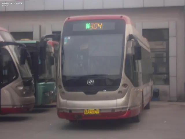 800BUS