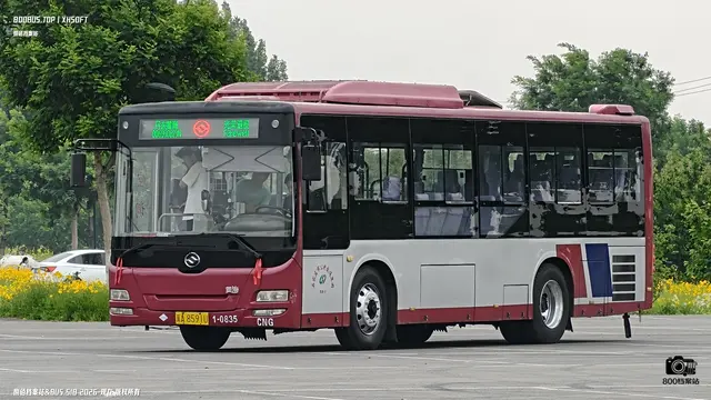 800BUS
