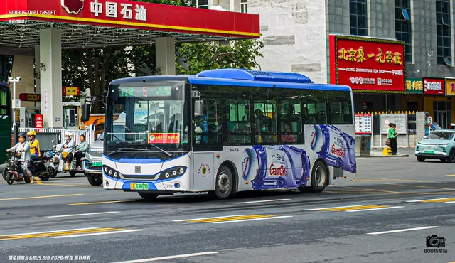 800BUS