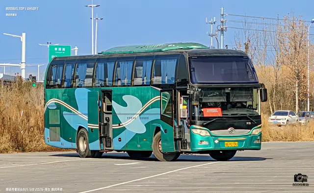 800BUS