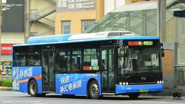 800BUS