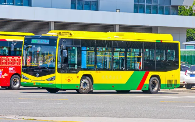 800BUS