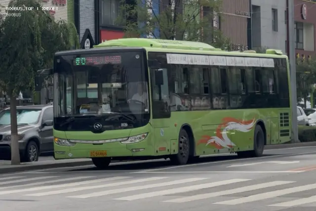 辽C B6866