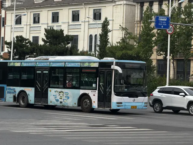 辽C D6130