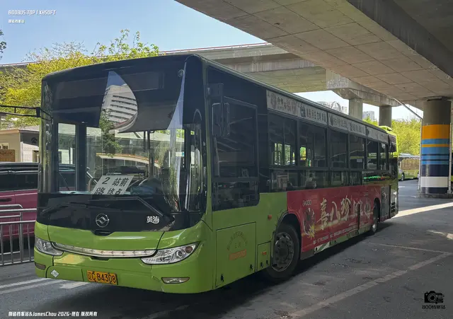 800BUS