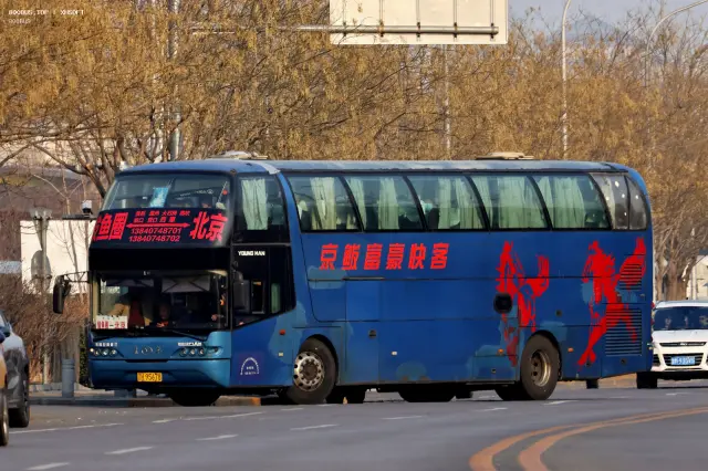800BUS