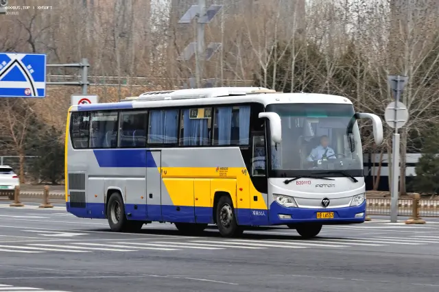 800BUS