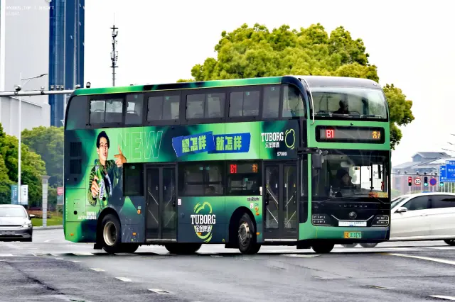800BUS