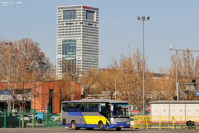 800BUS